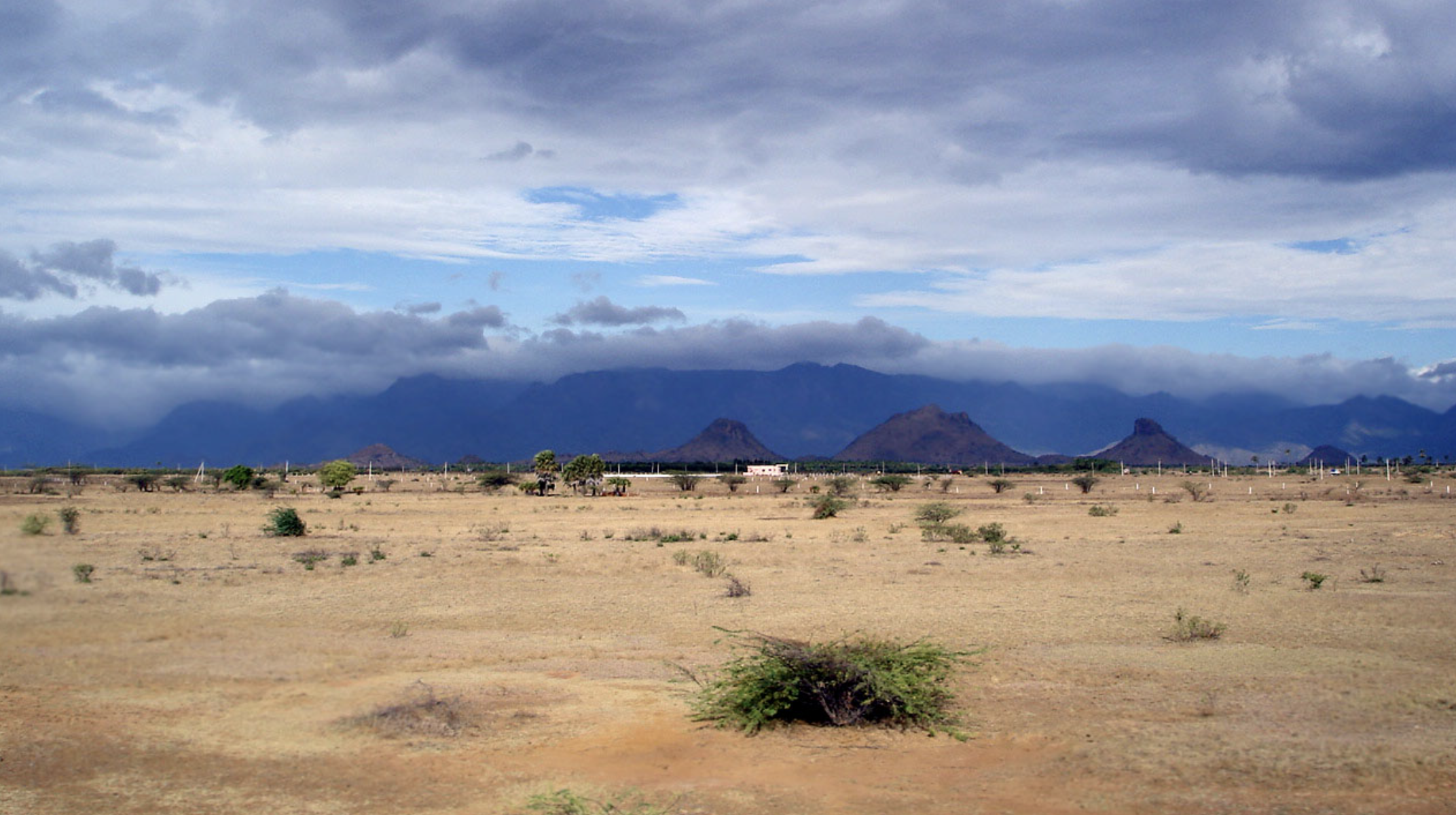 Semi-Arid Climate of Tirunelveli.